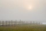 The New Pier Under A Foggy Sun_32003